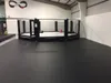 PVC Floor Vinyl Tarpaulin with Cage